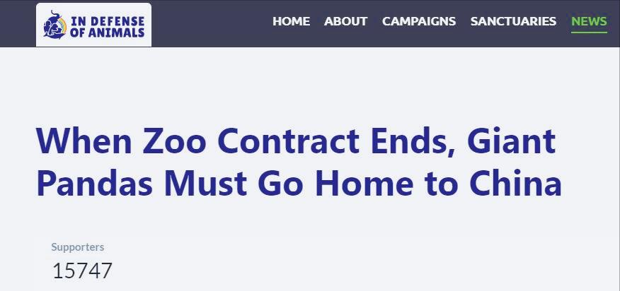 万人*愿请**国宝回家，留美熊猫遭遇了什么？