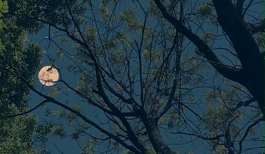 怎样克服恋爱中的新鲜感,如何摆脱恋爱习惯