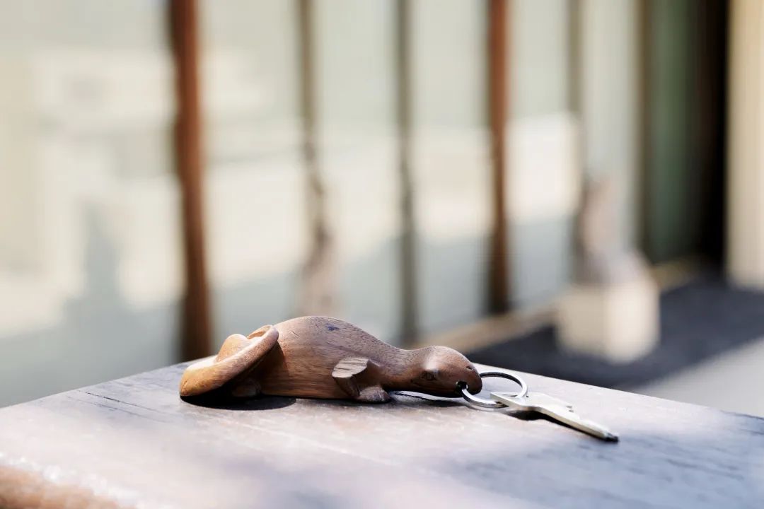 这可能是全球性价比最高的一家阿丽拉