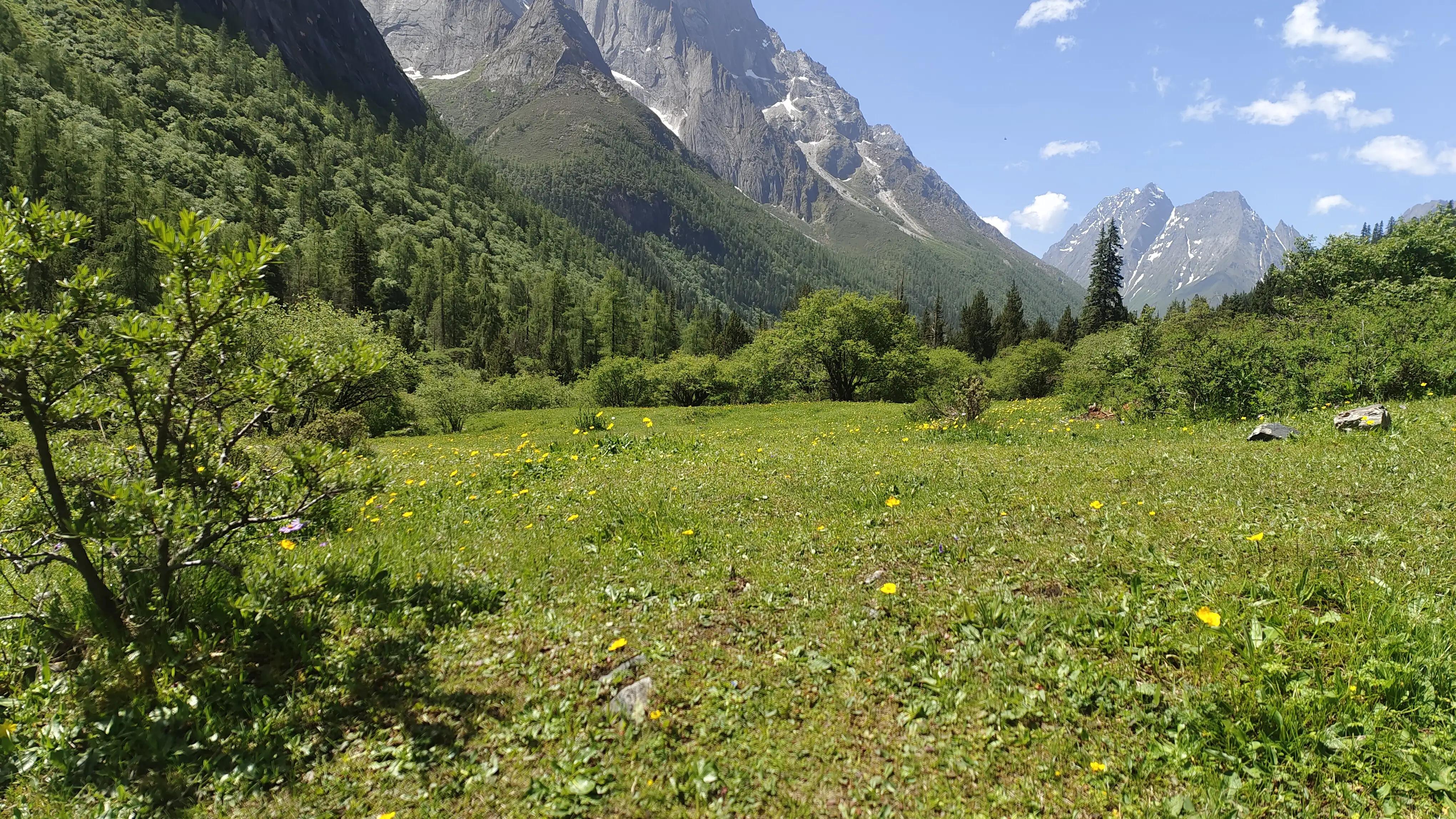 四川四姑娘山双桥沟图片,四姑娘山双桥沟最新视频