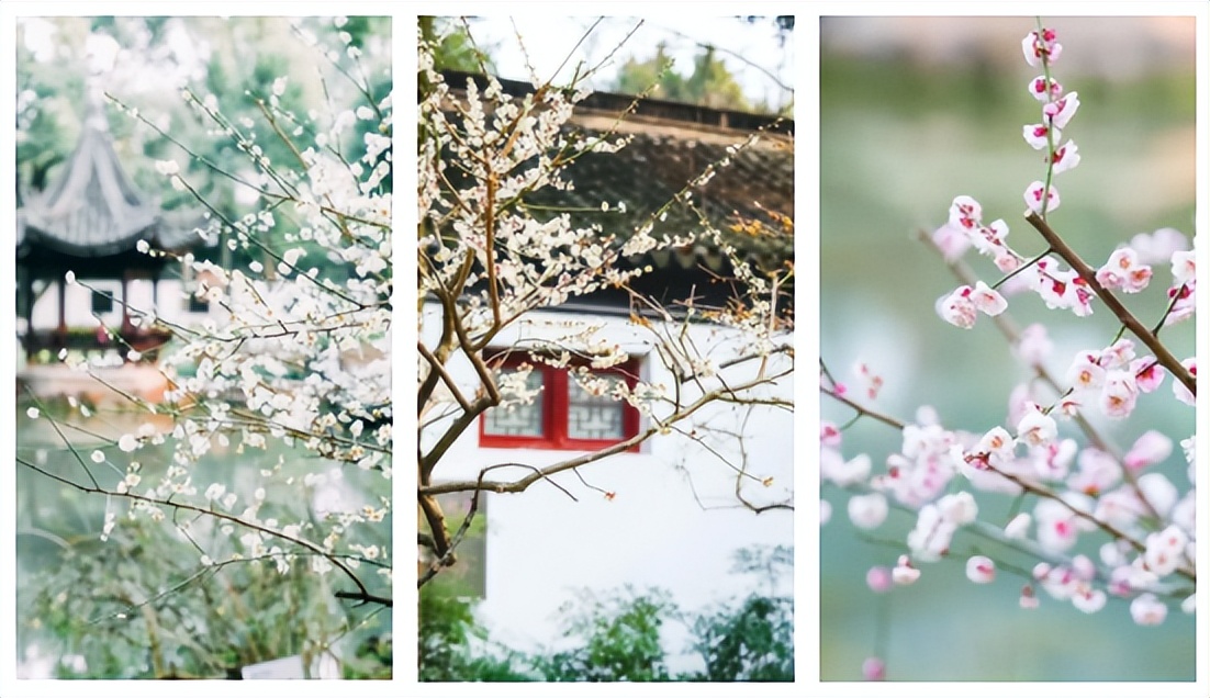 惊！在昆山，2元竟然可以做这么多事