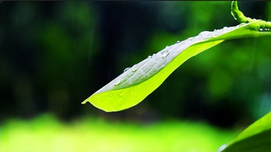 Day3:抓住三个可控修复期，轻松解决白天犯困