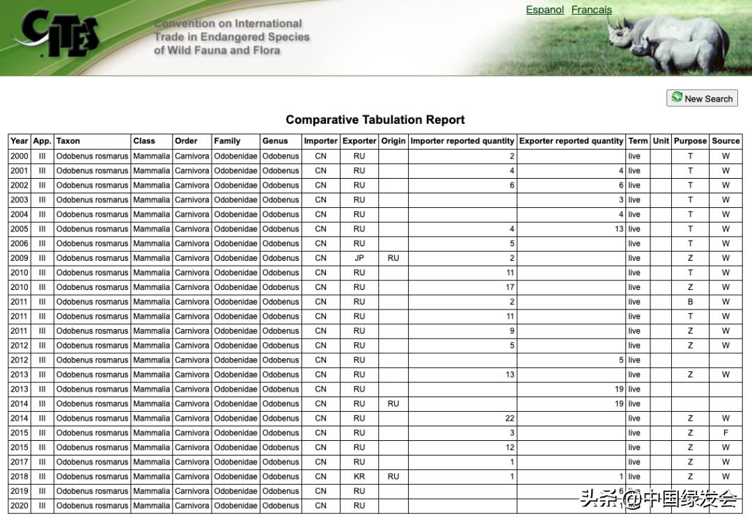武汉海昌海洋公园的表演印象深刻,武汉极地海洋世界海象表演