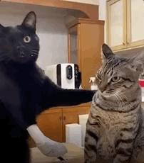 搞笑图片发烧,小女孩gif搞笑动态图片大全