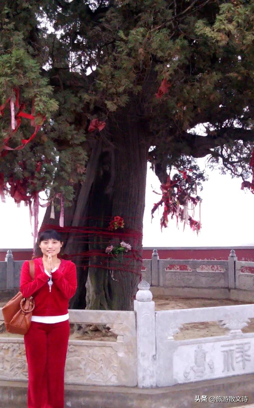 「旅游散文诗•根在芮城」张星||小月亮啊你的“根脉”是在咱芮城