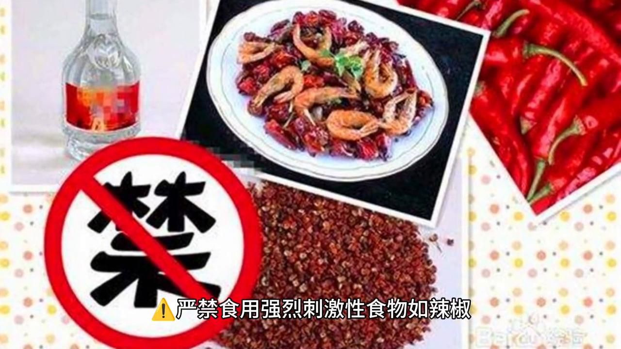 金丝熊知识大全,金丝熊新手怎样喂养金丝熊