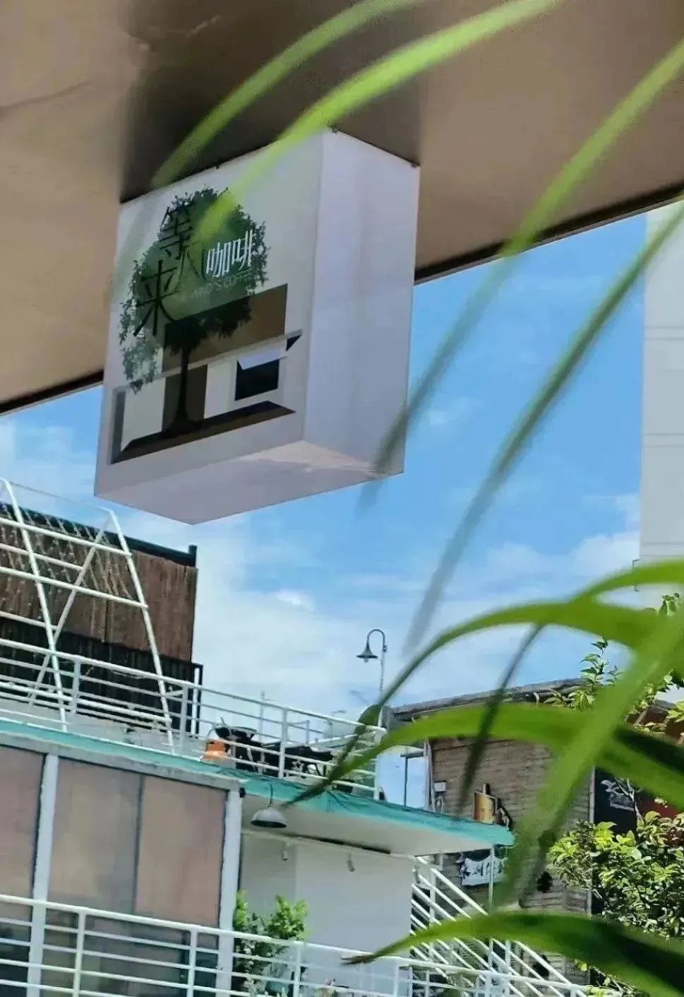 东莞城市学院citywalk,来东莞读书