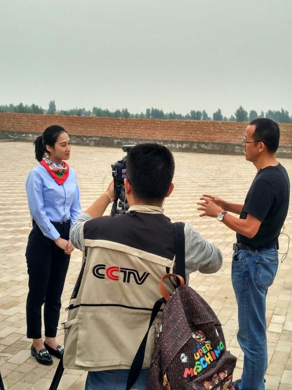 娌欑背浜т笟鍔╁姏涔℃潙鎸叴,娌欑背鍝佺墝