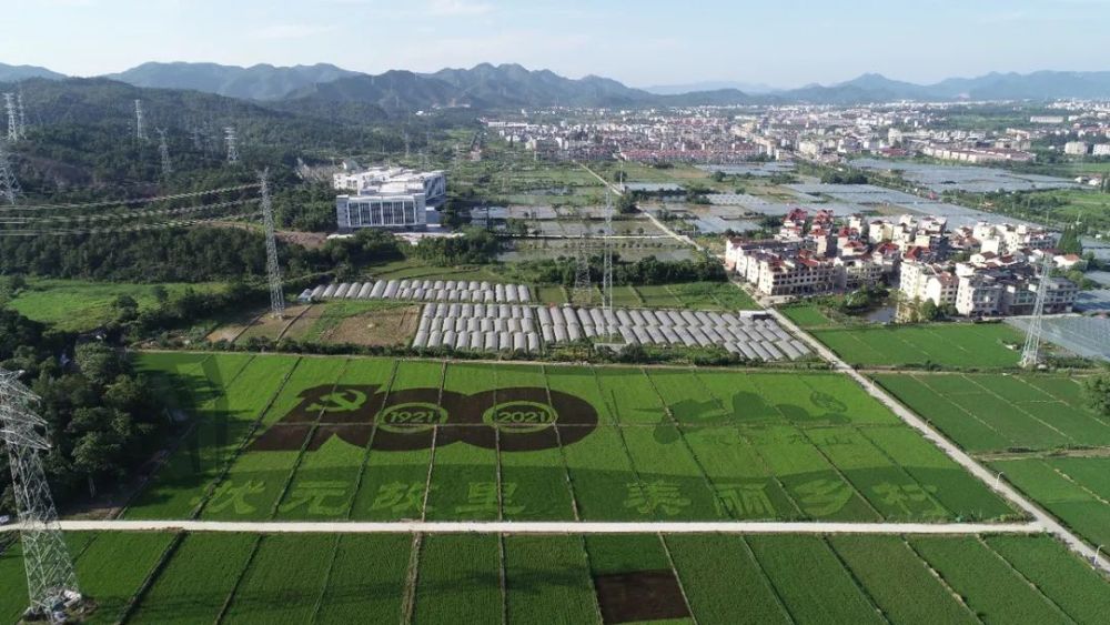 种稻养鱼高产技术,水上种稻水下能养鱼吗