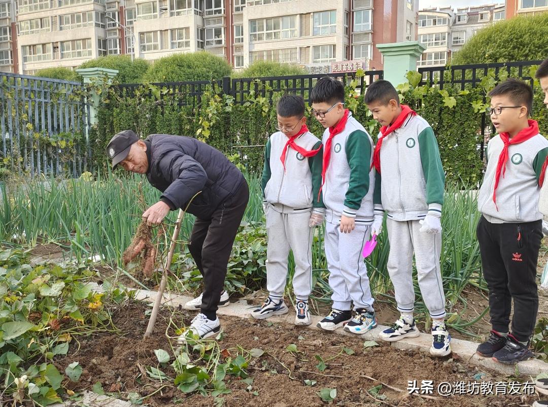 新闻周播报完整版,周播报抖音