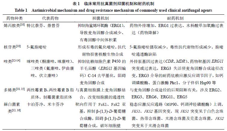 用于念珠菌的抗真菌药,抗真菌药联合使用