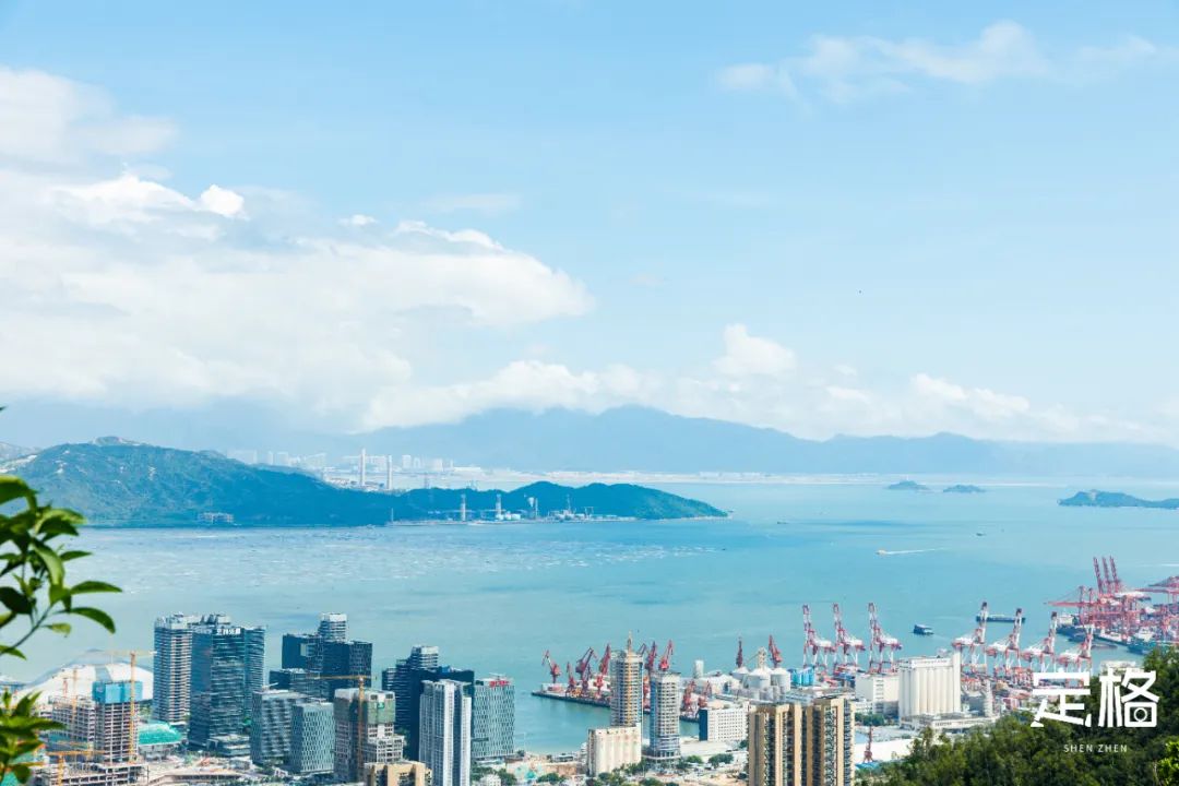 深圳地铁五号线十号线游玩地点,深圳地铁12号线最新最全线路图