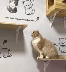 a股年度搞笑总结动图版,a股本周总结和思路