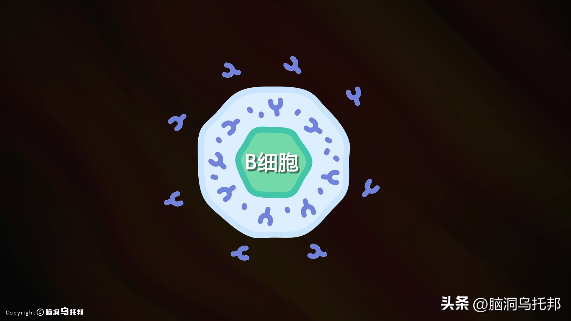 无症状感染是因为体质差吗,为什么有的人感染症状轻