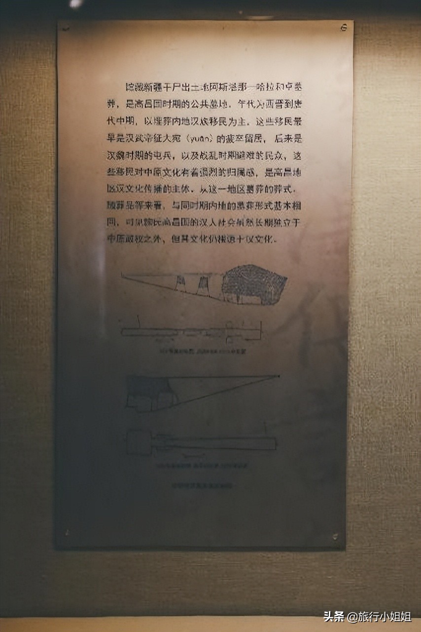 夏日海边微醺氛围感,滨城风光秀丽浪漫气息爆表