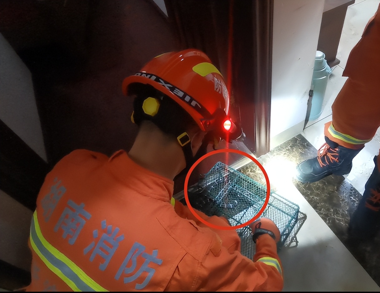 男子在床上被蛇吓视频,男子睡觉被蛇围脚