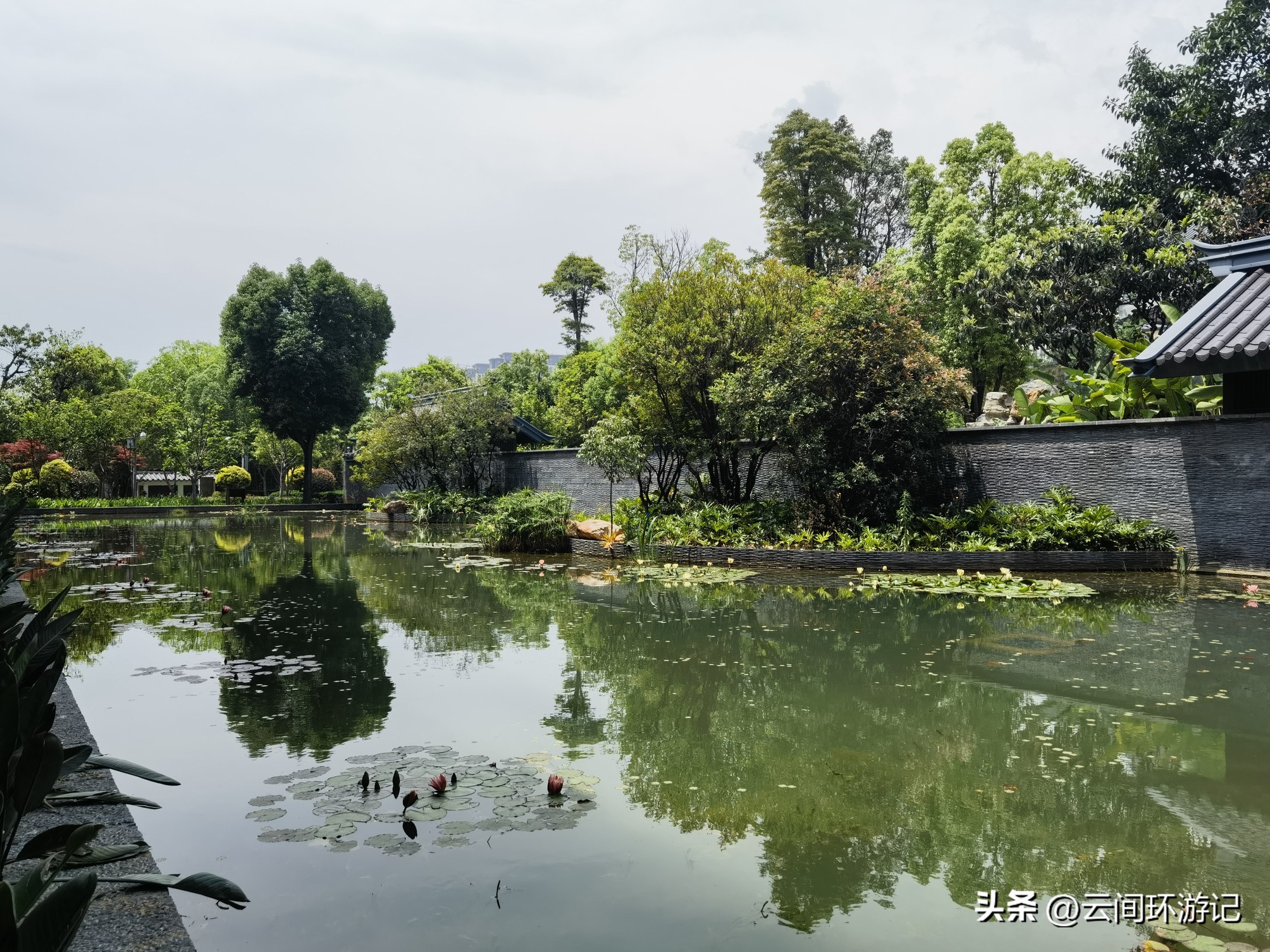 缇庝附寰峰畯娴极涔嬫梾,婕父寰峰畯