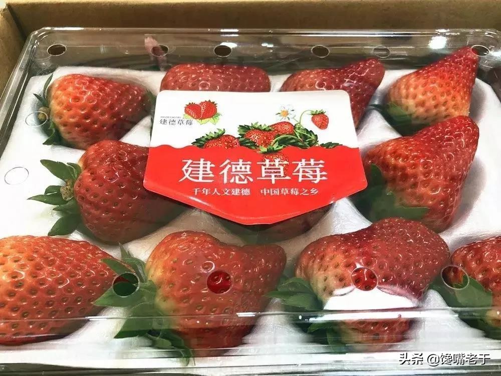 全国最好的草莓品种,全国草莓好吃排行榜