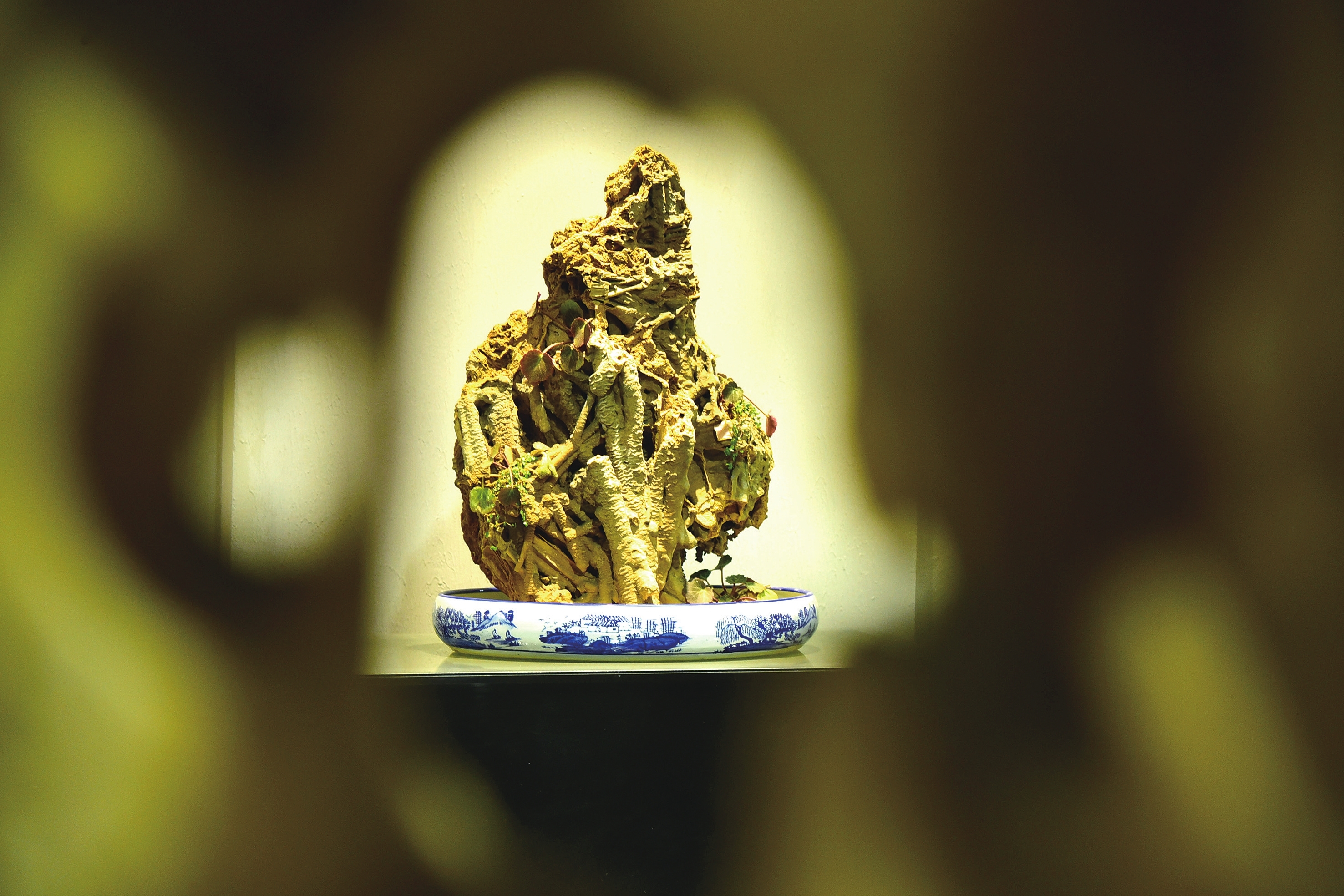 上水石盆景摆放讲究,上水石盆景种植绿植的方法