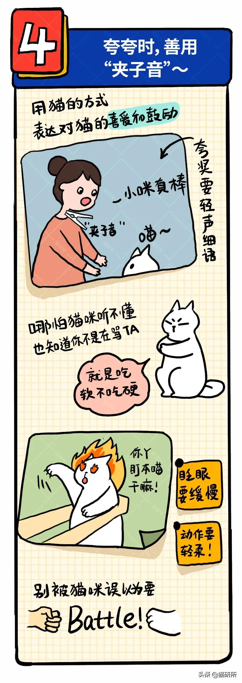 6个哄猫咪开心的小技巧，包教包会