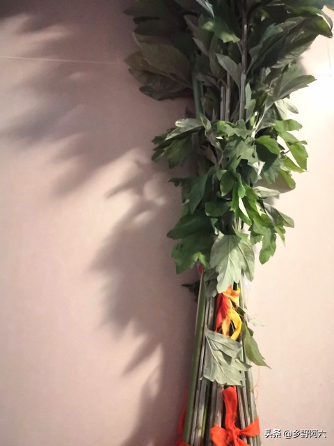 端午挂艾草有讲究吗挂几棵好,艾草不挂放在门口可以么