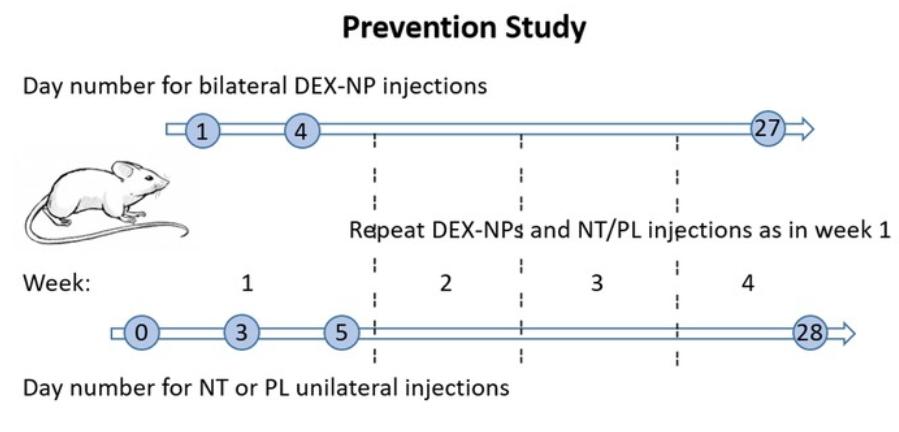 rho激酶抑制剂多少钱,rho激酶抑制剂是什么