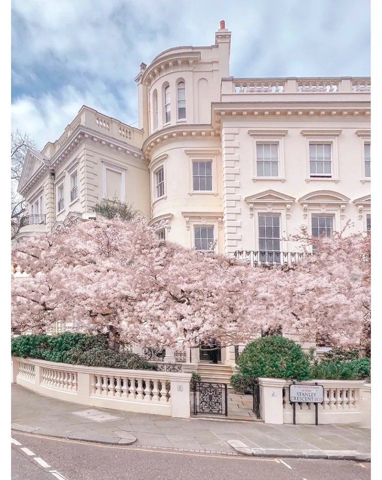 伦敦3月樱花,伦敦樱花季