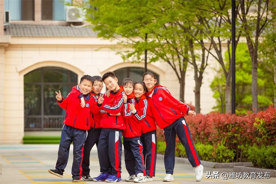 美！潍坊校园春景强势来袭