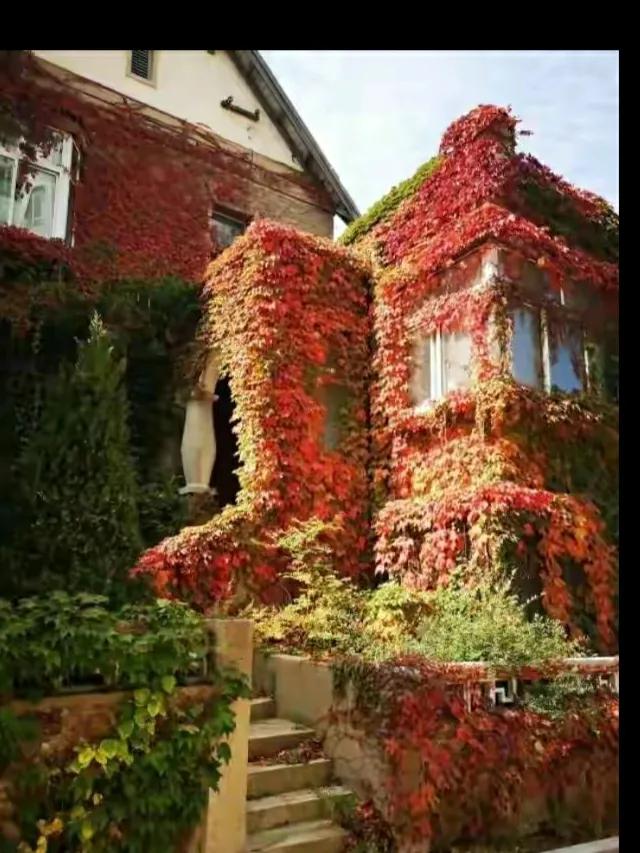 大连八七疗养院的来历,大连八七疗养院的故事