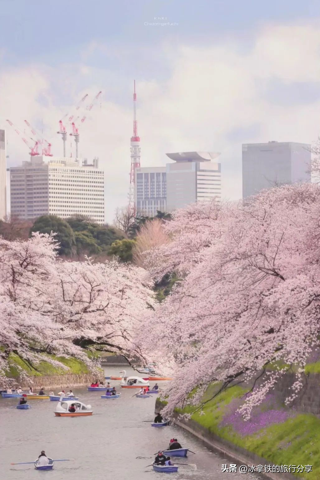 全球第八家宝格丽,最新的宝格丽酒店