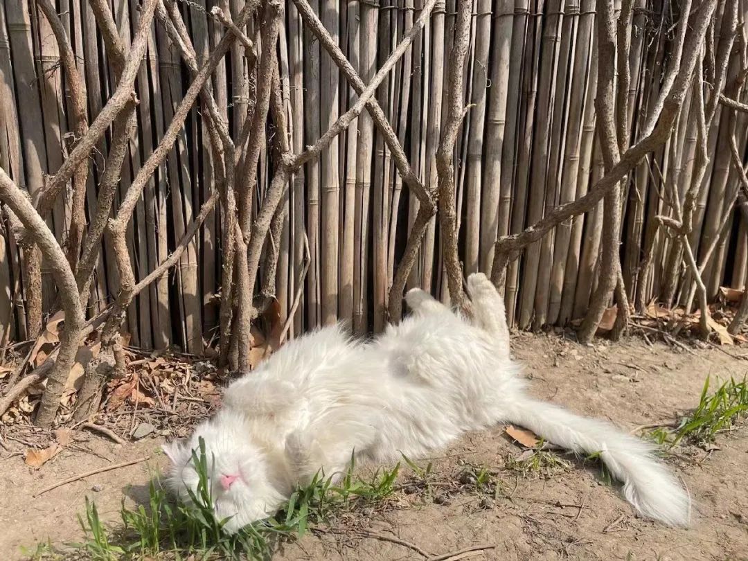 赵明明：上班摸鱼，是我的梦想!