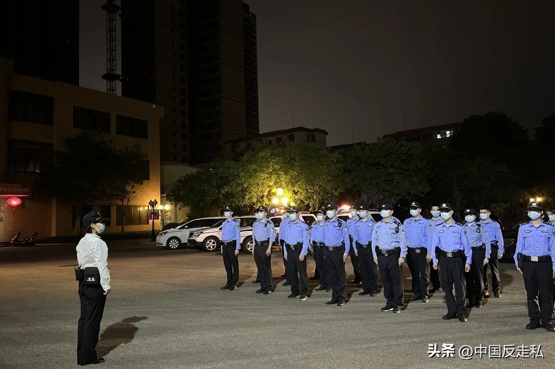 湛江海关缉私局走私最新新闻,湛江海关缉私事件