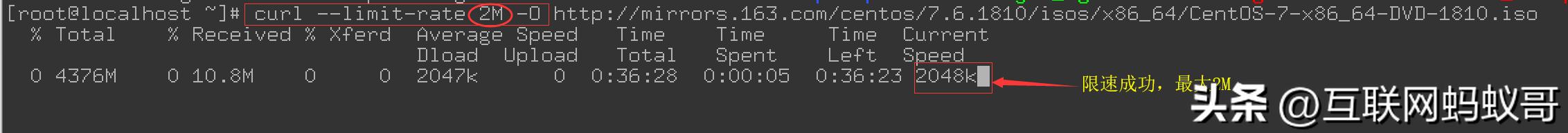 curlhttp怎么用,curl命令模拟https请求
