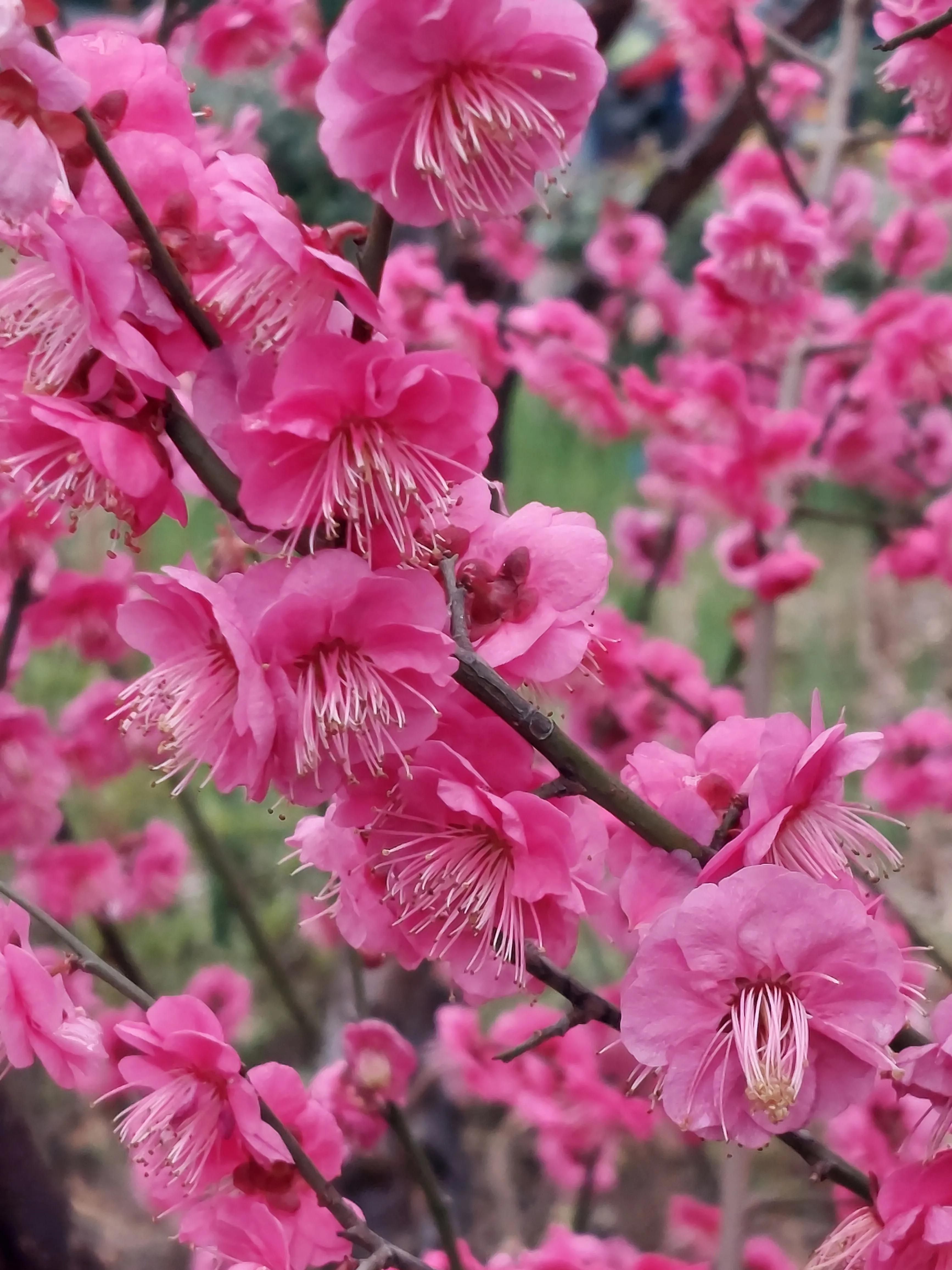 炒股人需要具备的职业素养