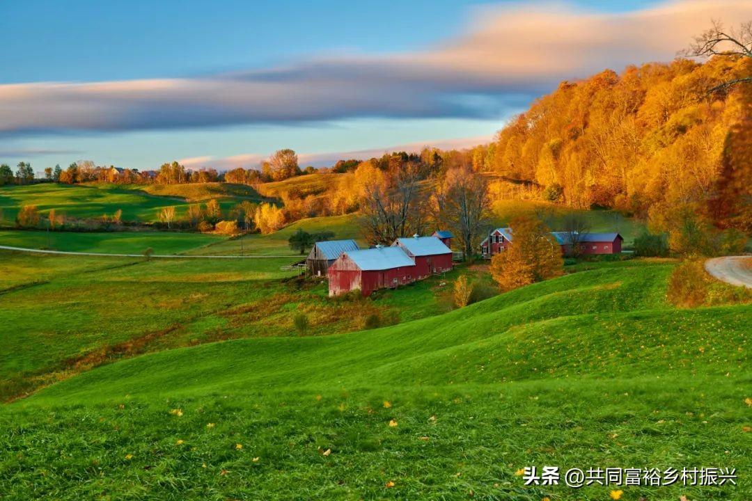 2023年全国乡村振兴优秀案例,乡村振兴典型案例5000字材料