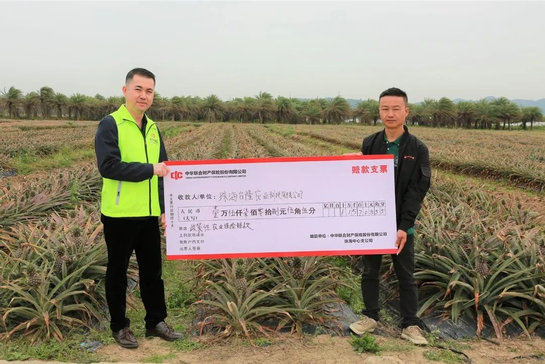 出台政策最高可达100万元专项补贴,官方下达125亿保费补贴