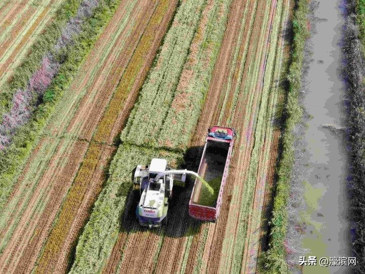 打造生态旅游目的地,打造生态旅游县