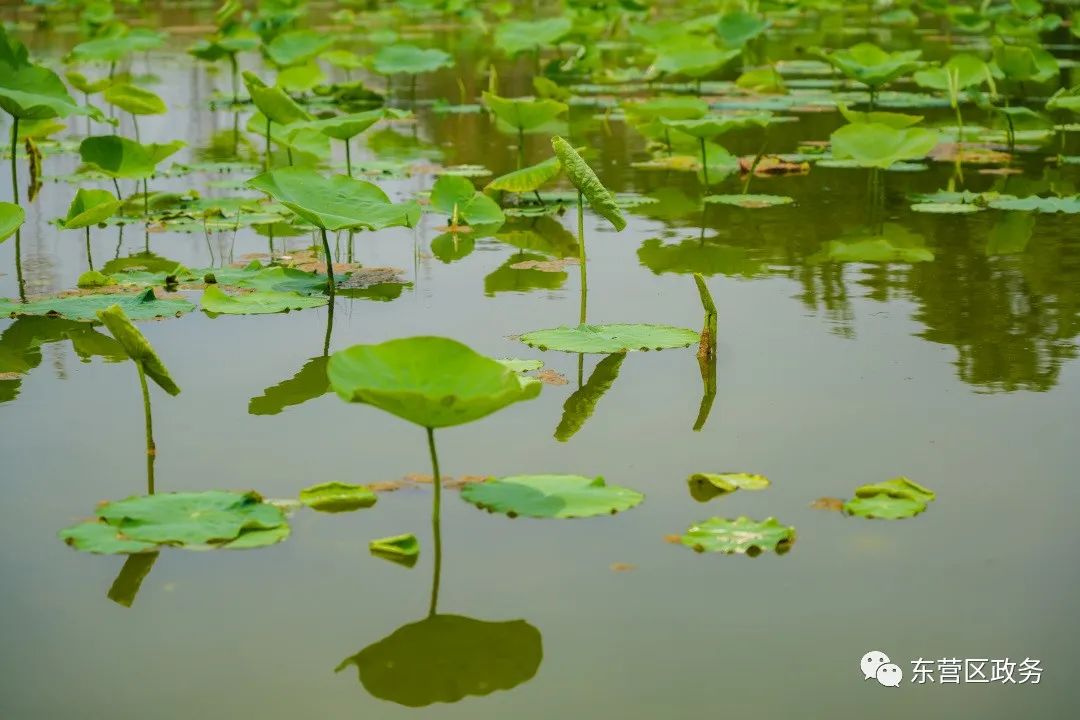 不负好时光田间地头助农忙,不负好时光春耕图