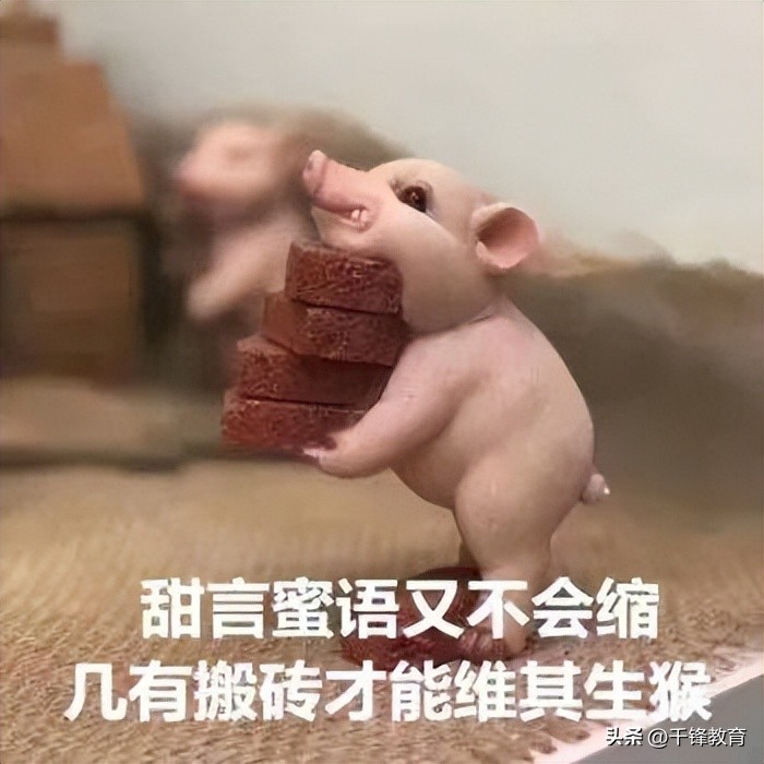 2023本科毕业生平均薪资排名,2023各学校毕业生平均月薪