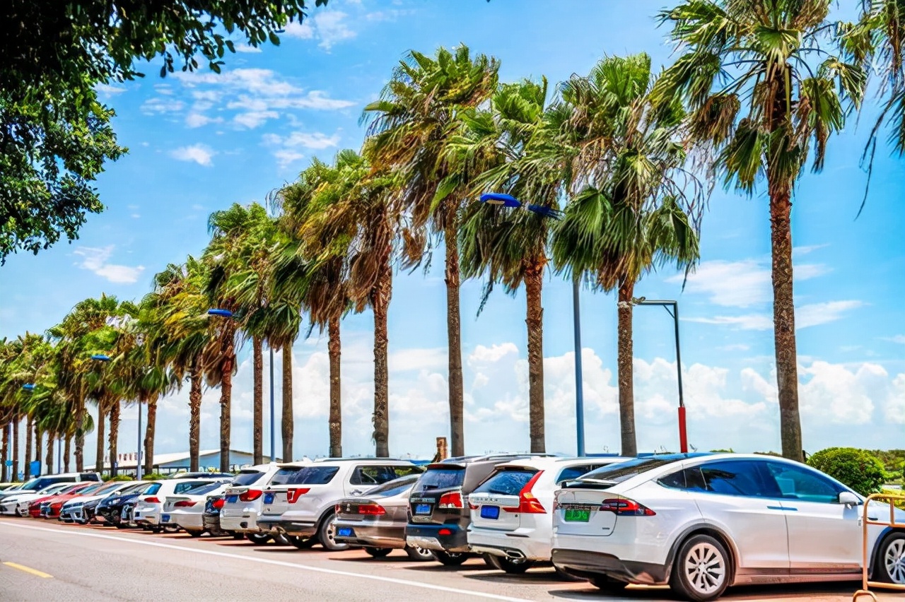 广州沿海吃海鲜的地方,广东吃海鲜最好的地方