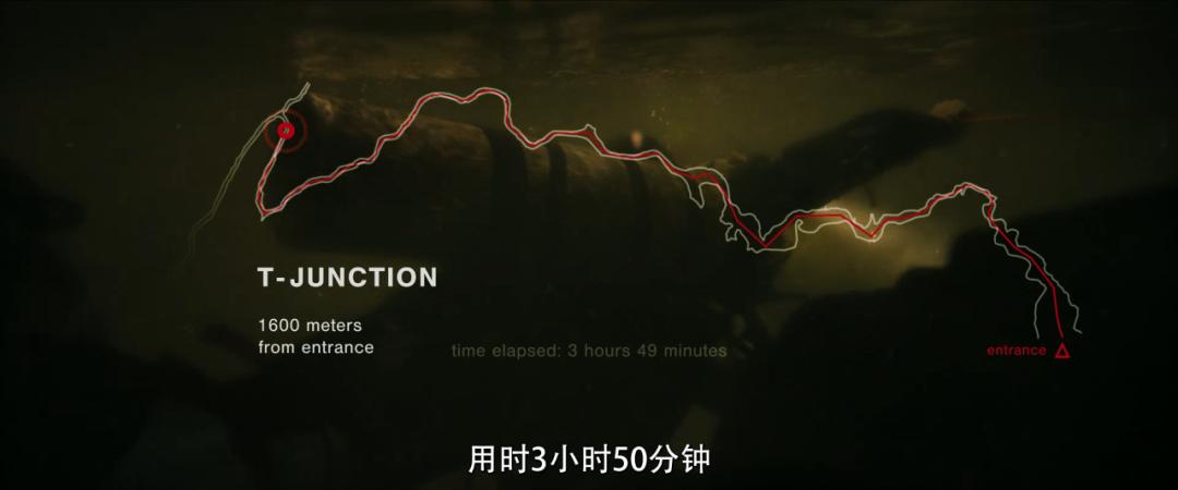 今年最高分了，还在涨