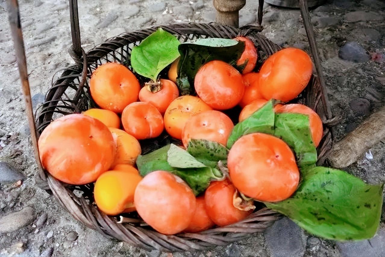 走进桂林阳朔山水,走进桂林深处