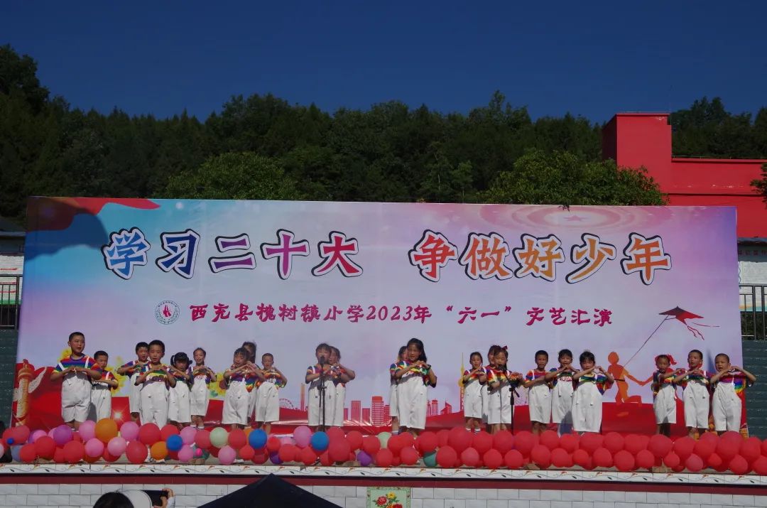 西充县槐树镇小学：学习二十大，争做好少年