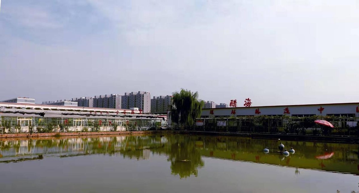 环球酿造大晒场,环球酿酒业集团