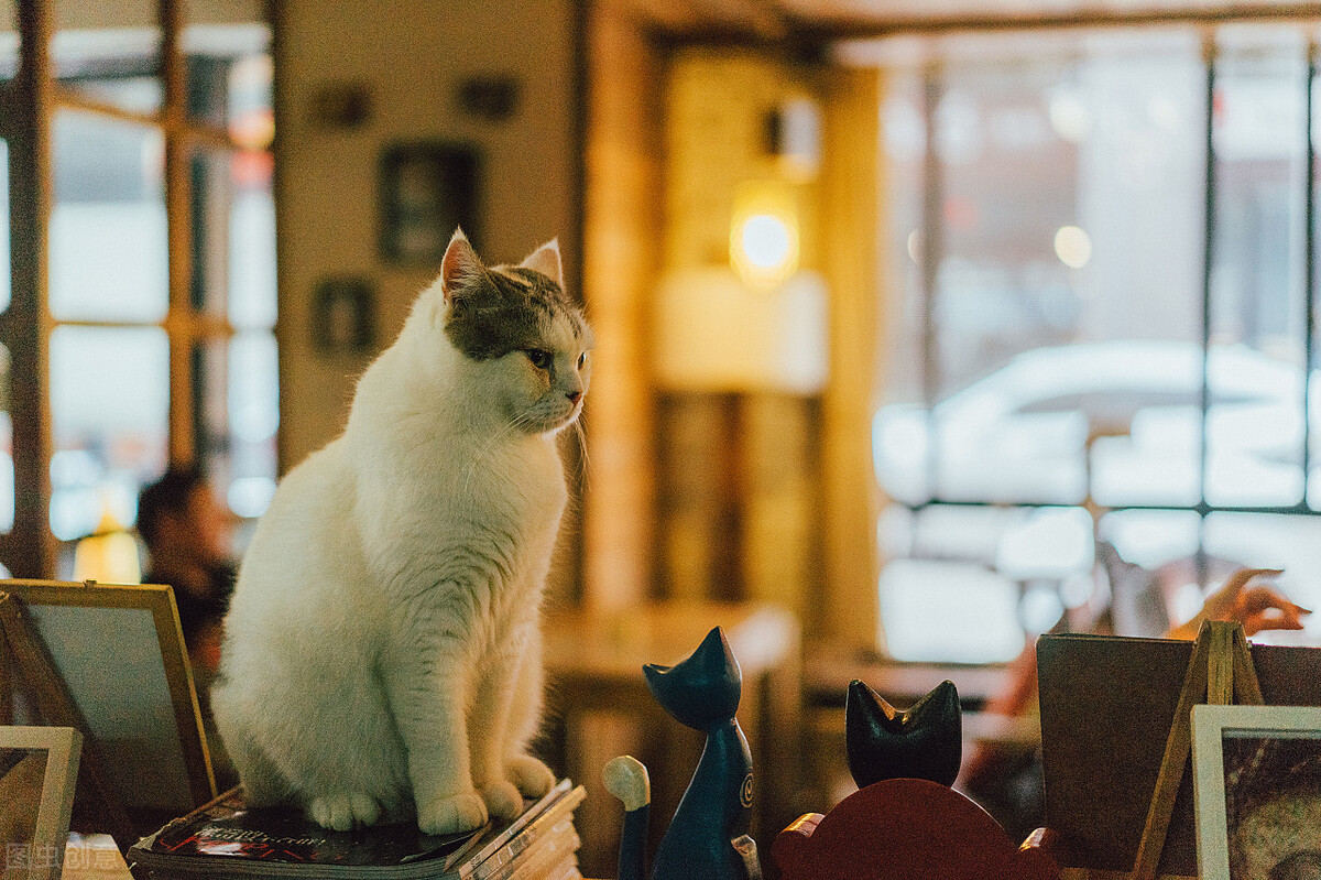 瀹㈠ぇ娆轰富鏁呬簨,瀹㈠ぇ娆轰富椋庢按