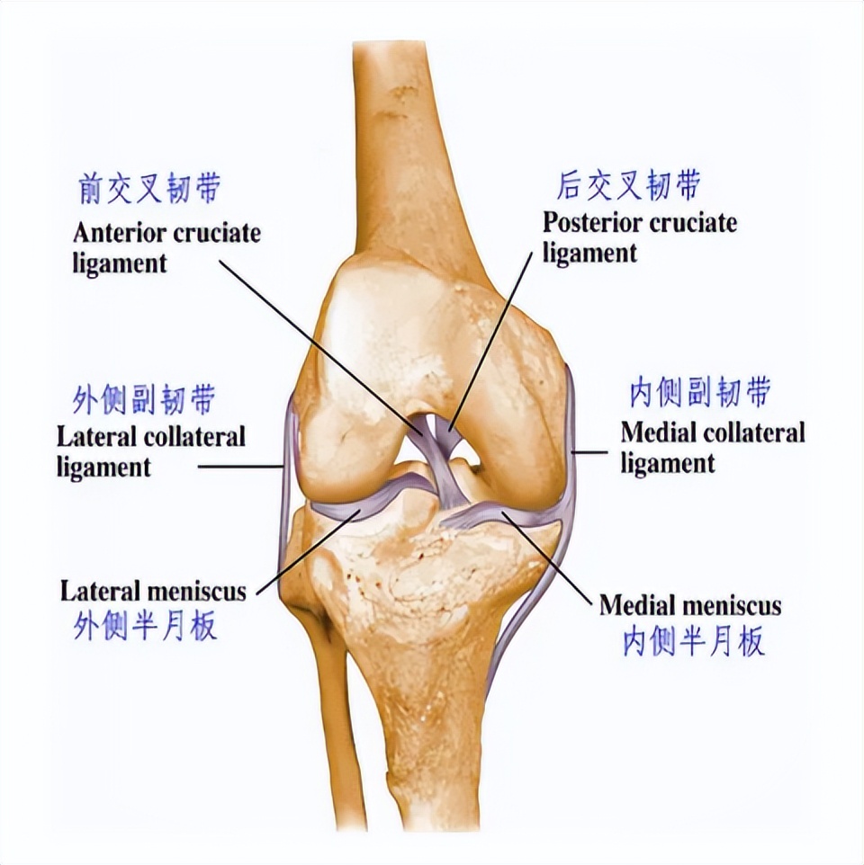 韧带断裂微创手术能恢复正常吗,打篮球韧带断裂做手术多少钱