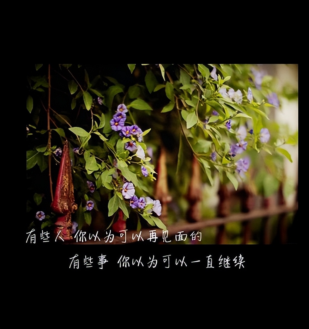 濂崇敓鍥剧墖澶у叏鍞編浼ゆ劅甯﹀瓧,濂崇敓鍞編鍥剧墖浼ゆ劅甯﹀瓧