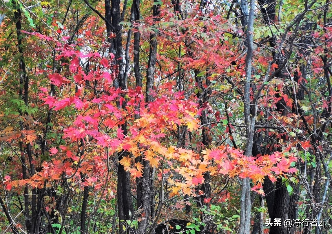 图们江口岸游记,从图们市到牡丹江自驾游