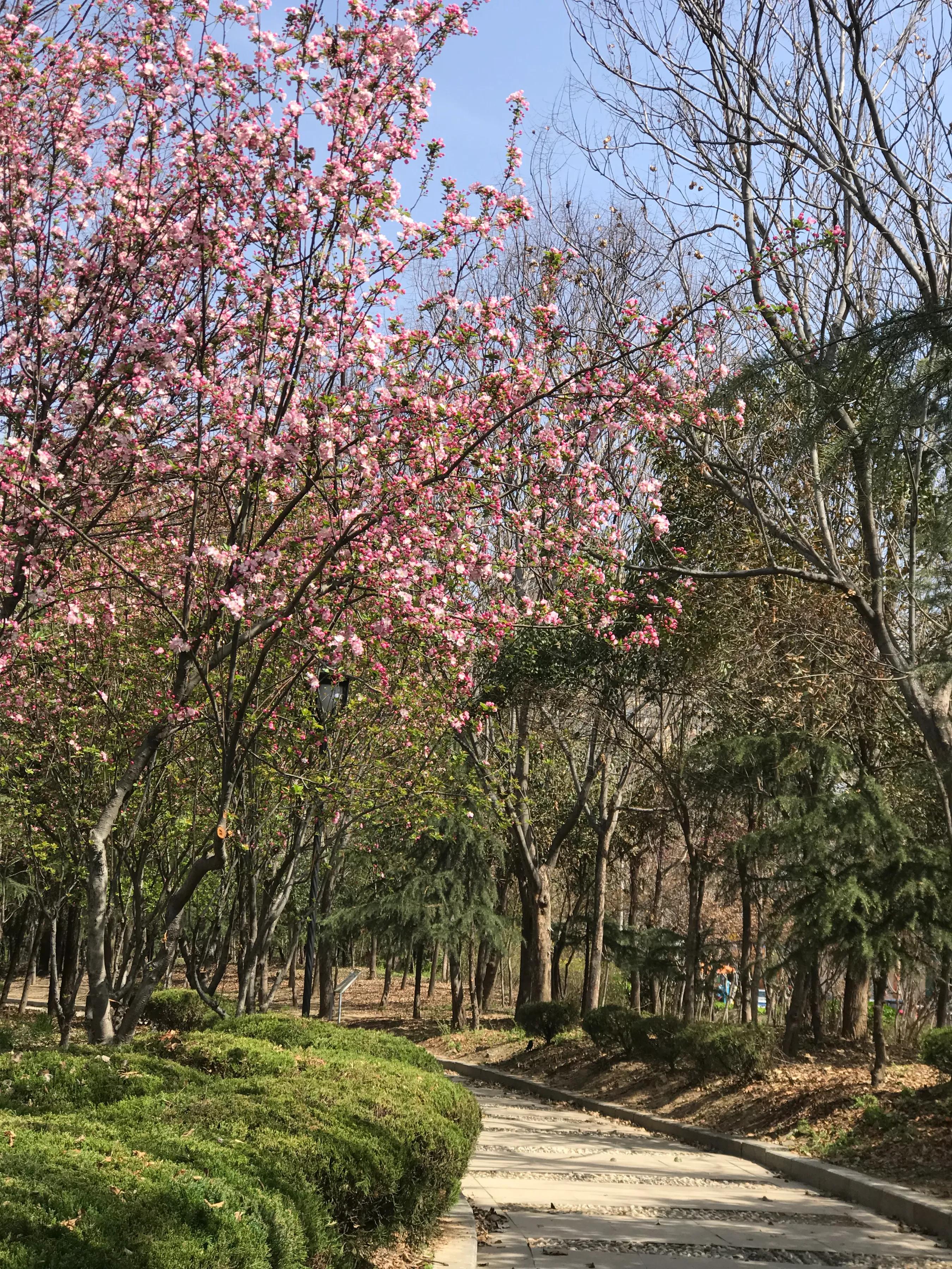 做一个城府深的人,做一个内心毫无波澜的人