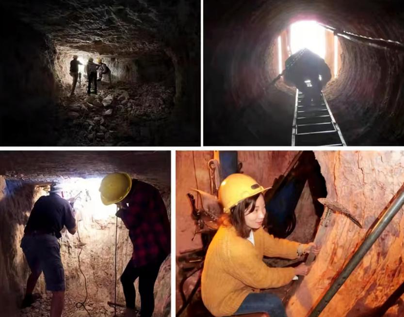 海淘存在的价值,海淘光动能